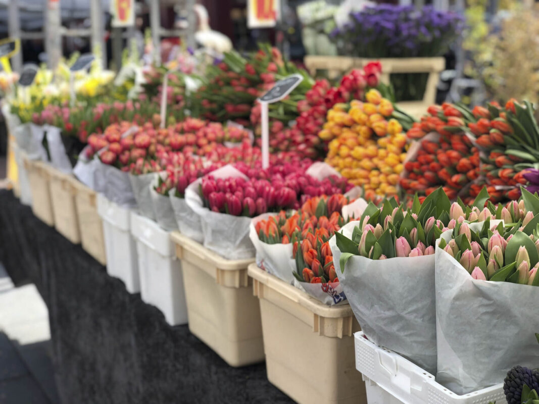 Per cosa è famosa Amsterdam